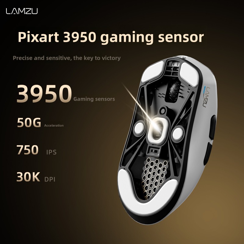 LAMZU Wireless Gaming Mouse 8K - Esports Gaming Tournaments recensione e prezzo